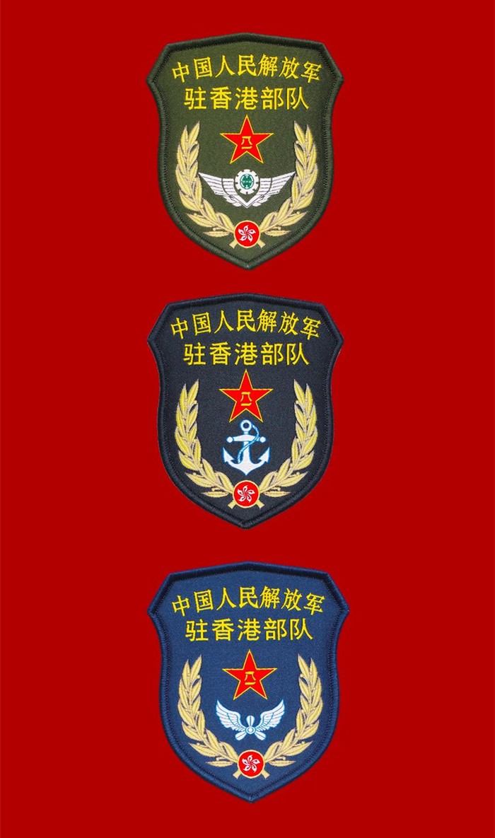 21式陆军臂章图片