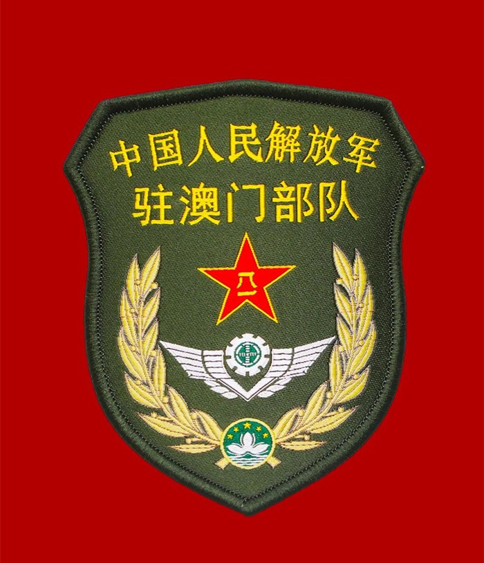 軍人21式作業服胸標臂章大全-軍友網